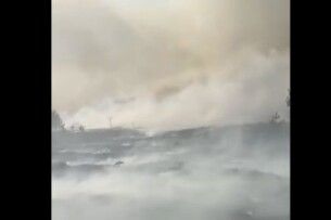 «Це не катаклізм, а людська недбалість»: на Волині горіла суха трава