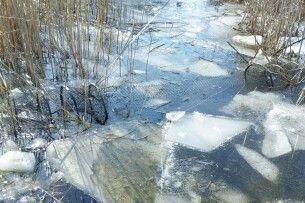 У нацпарку на Волині вилучили 15 заборонених знарядь лову 