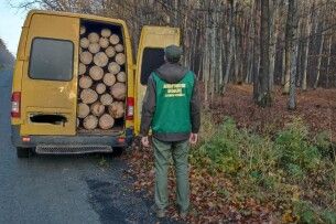 На Волині зупинили бус, набитий деревиною з Нацпарку