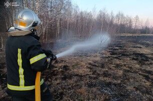 На Волині за добу горіли житлові будинки та сухостій