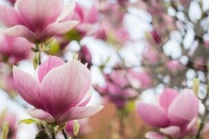 Завтра на Волині сильний вітер, дощ та нічні заморозки