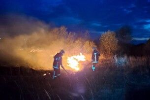 На Волині за добу вигоріло понад 6 гектарів сухостою