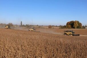 Аграрії Волині зібрали понад 1 млн тонн зерна