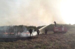 В національному парку на Волині горіло болото 