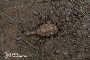 На туристичному маршруті в Карпатах знайшли гранату часів Другої світової