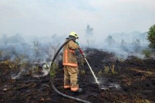 У двох районах на Волині гасять масштабні пожежі торфу (Фото)