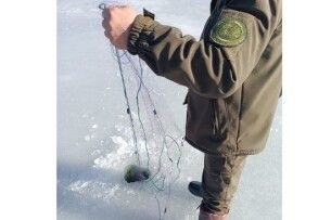 У нацпарку на Волині виявили браконьєрські знаряддя лову