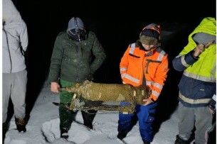 Понад 20 адмінпротоколів за тиждень: на водоймах Волині викрили рибалок-порушників