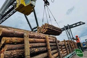 Волинь та Рівненщина різко наростили відправку деревини для Сил оборони