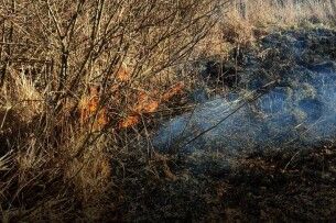 На Волині за добу ліквідували дві пожежі сухостою