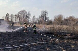 Вогонь ледь не перекинувся на будинки: волинські рятувальники годинами гасили пожежі