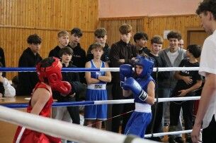 Прибуло 18 команд: у Горохові відбувся великий боксерський турнір 
