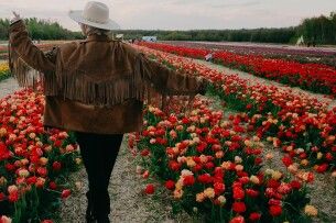 Стало відомо, коли у «Волинській Голландії» відкривається Фестиваль тюльпанів