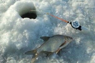 Волинська екоінспекція посилила патрулювання річок