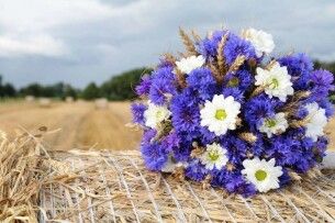 Якою буде погода в ці дні на Волині