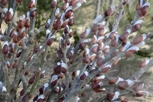 Якою буде погода на Волині