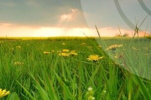 На Волині погода тішить теплом та сонцем