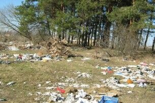 Ліси Волині та Рівненщини перетворюються на сміттєзвалища