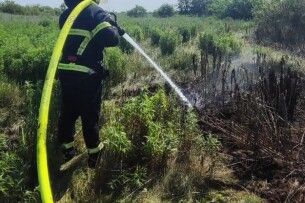 Горить 8 гектарів: на Волині пожежа трави перекинулась на торфовище