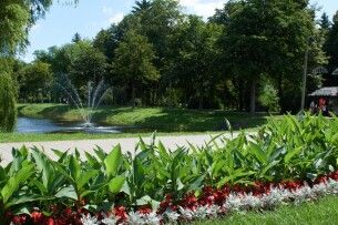 В центральному парку Луцька відкрили новий тренажерний зал (Відео)