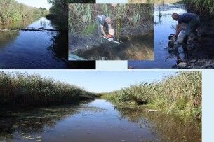 На Волині рятують Прип'ять: русло річки розчищають від повалених дерев