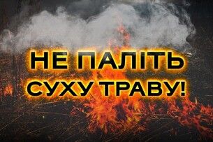 У мальовничому волинському селі горів сухостій