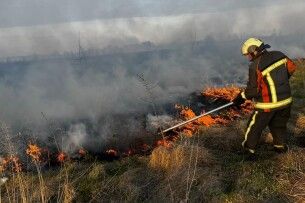 На Волині за добу вигоріло понад 12 гектарів сухої трави та очерету