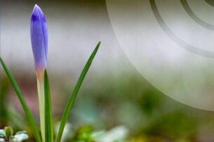 Якою буде погода у Луцьку та області найближчої доби