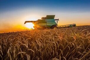 Сільське господарство Волині просіло на 5 відсотків
