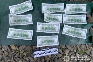 1000 доларів за тиждень: на Закарпатті мати здавала малечу в «оренду» для жебракування