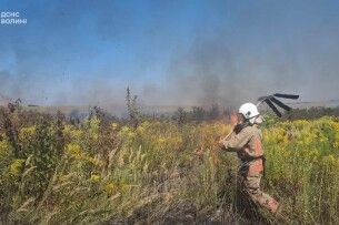 У селищі на Волині спіймали палія сухостою 