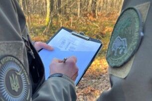 У заповіднику на Волині «чорні лісоруби» знищили 21 дерево