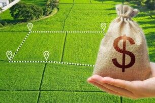 Волинь – п’ята у рейтингу найдорожчої землі в Україні