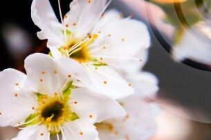 Вітер, дощ та заморозки: якою буде завтра погода на Волині