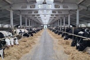 Волинське фермерське господарство отримало державну компенсацію за будівництво тваринницьких ферм