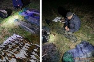 На Волині браконьєр наловив «золотої» риби під час нересту 