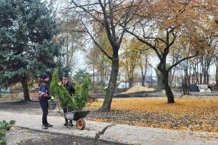 Сакури, барбарис, спірея: у місті на Волині з'явиться всесезонний парк