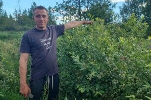 Родина Бедиників з Волині: навіщо їхати на заробітки, якщо на лохині і вдома можна заробити?