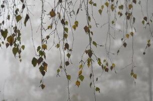 Якою буде погода на Волині