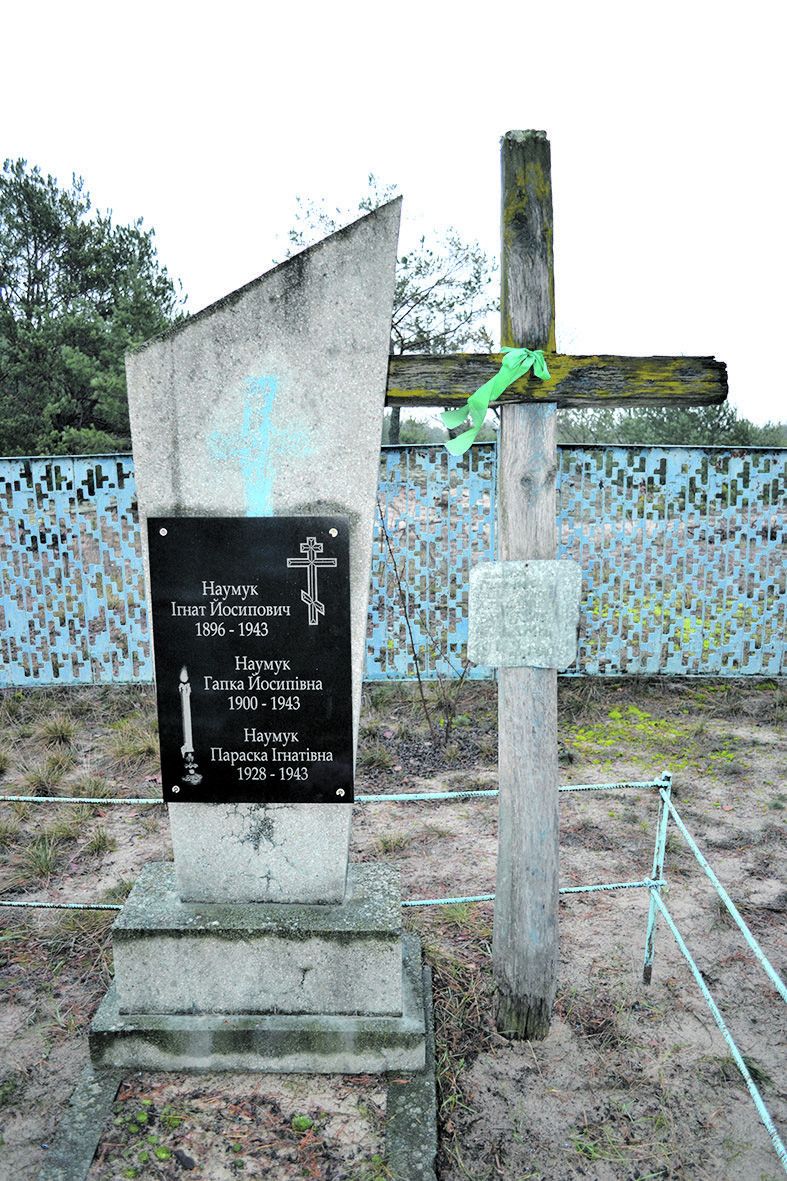 Таким був старий пам’ятник та хрест на могилі Наумуків.