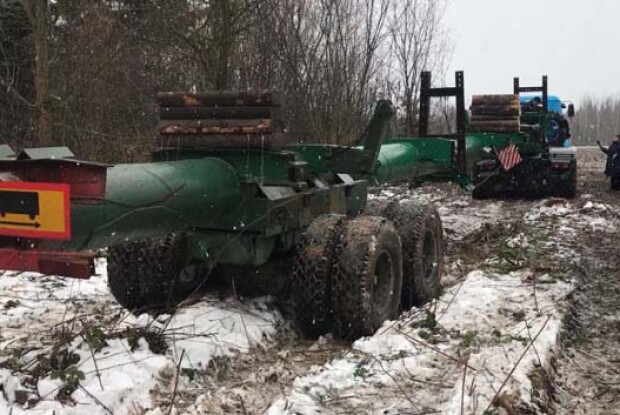 Головна ялинка країни вирушила з Івано-Франківщини до столиці