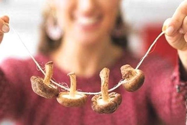 Як правильно сушити гриби?