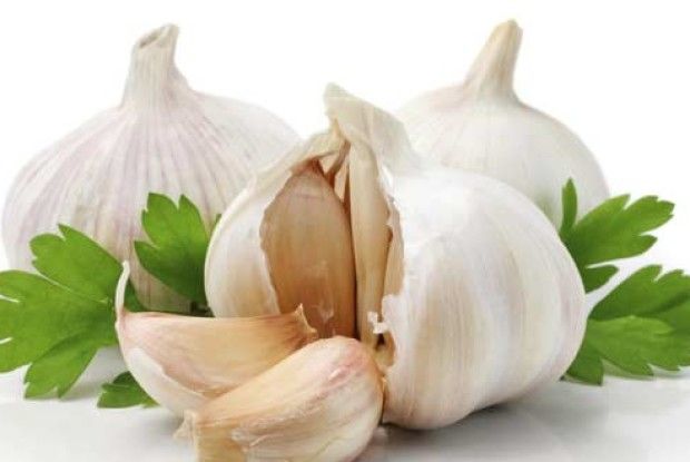 Коли садити часник?