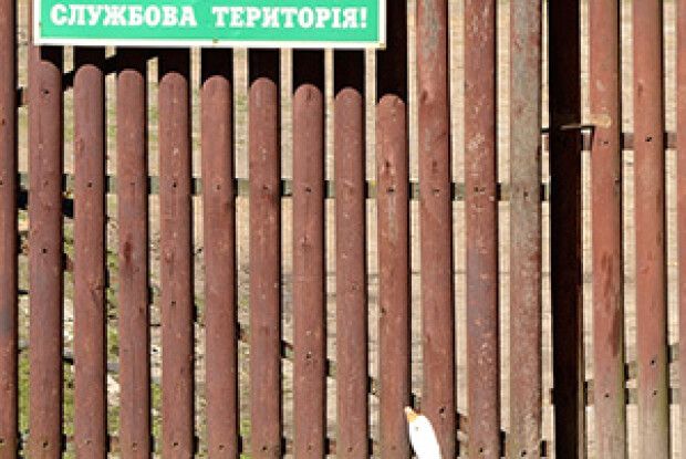 ФОТО НА КОНКУРС: гусакова дума