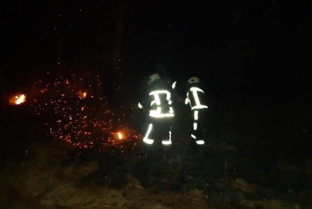 На Волині горіли ставки