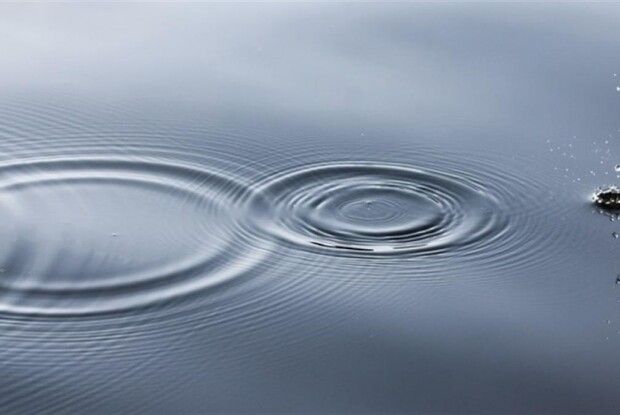 На Рівненщині однорічна дитина втопилась вдома на подвір’ї