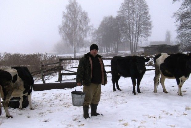 П’ять годувальниць Петра Матрунчика. Чи вигідно тепер тримати корів?