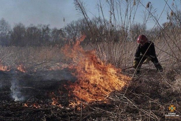 Намагаючись загасити суху траву, загинула 80-річна жінка