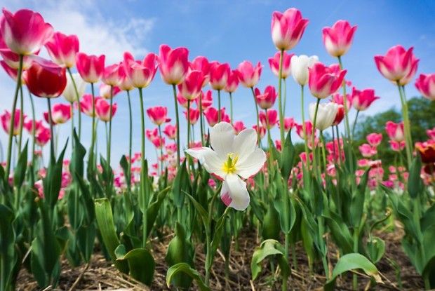 На Волині з’явилася нова туристична «фішка»