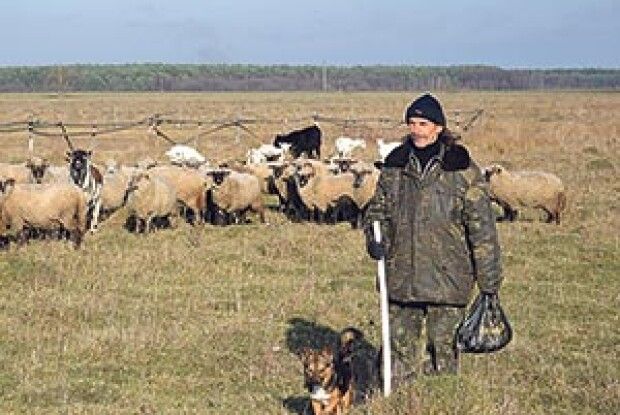 ОТАРУ СТЕРЕЖЕ ЦАП БОЦМАН